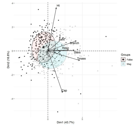 Oikos_Journal's tweet photo. Accepted: Oke & Turetsky: Evaluating Sphagnum traits in the context of resource economics and optimal partitioning theories
https://t.co/xCd22A8U4F
@wileyecology @NordicOikos #densitydependent #functionaltraits #moss https://t.co/FiUTFlfZyu