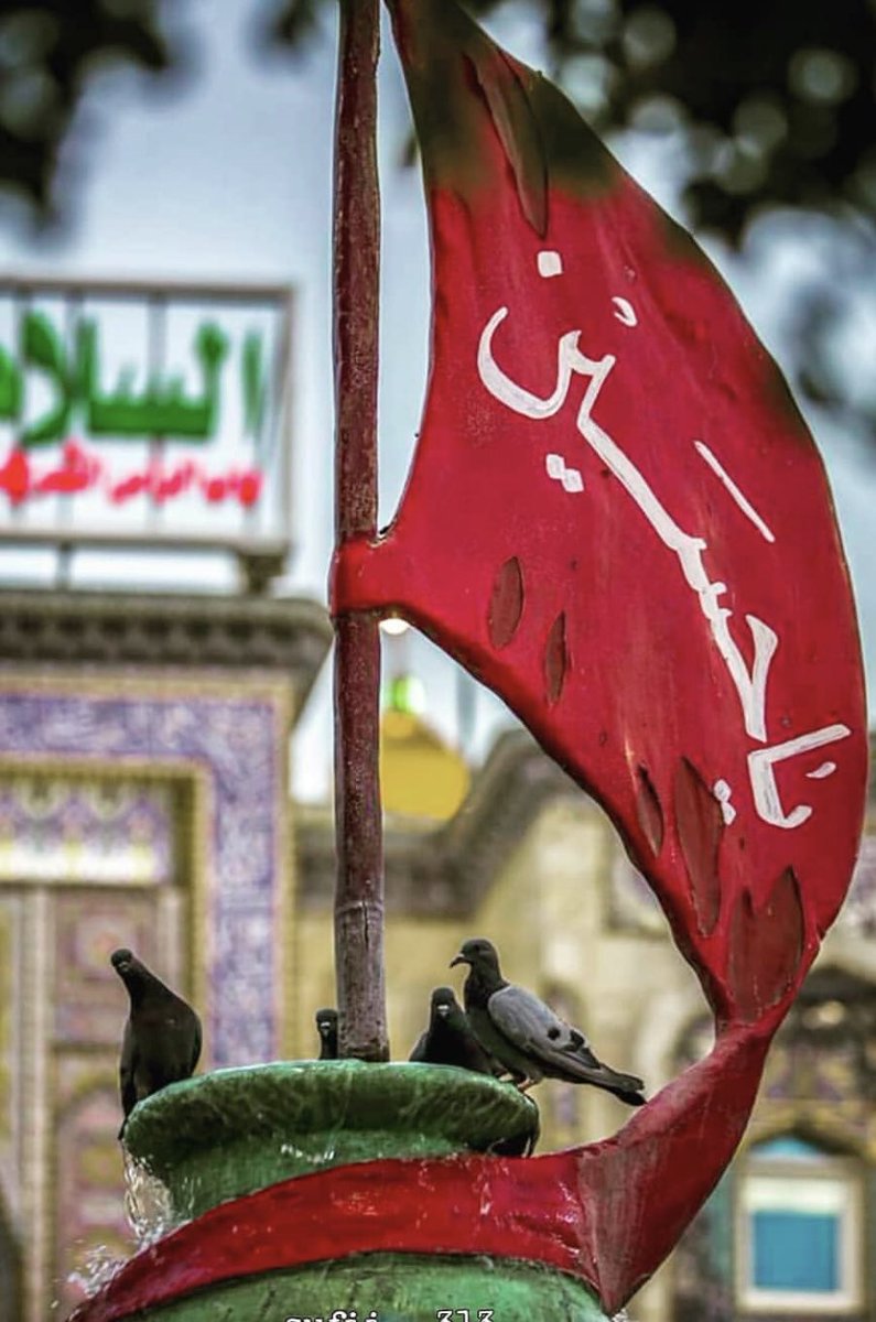 syed abbas (@syedabb50405874) on Twitter photo 