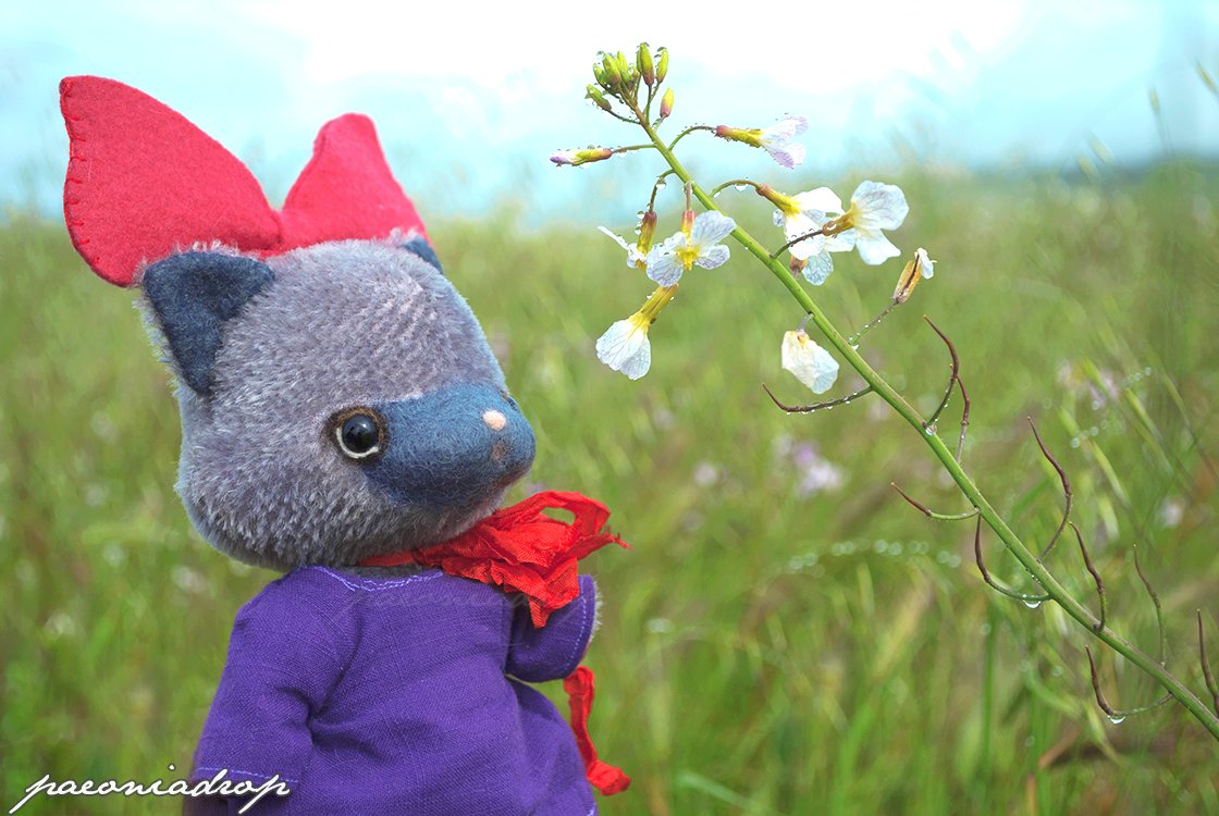 PaeoniaDrop's tweet photo. Catching the morning dew. Mornings are my favorite time of day. The air is crisp, the sun is only starting to peek out, and there's still a nice breeze.

#sewing #stayhome #dollmaking #dollphotography #bearmaking https://t.co/cHZqzQtfJo