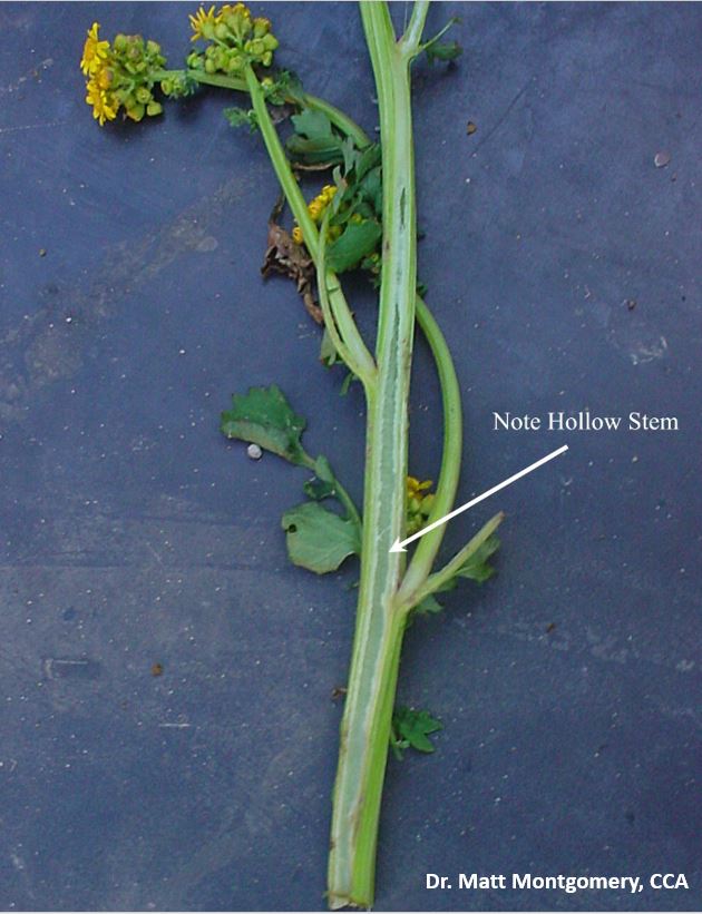 Matt Montgomery tweet media