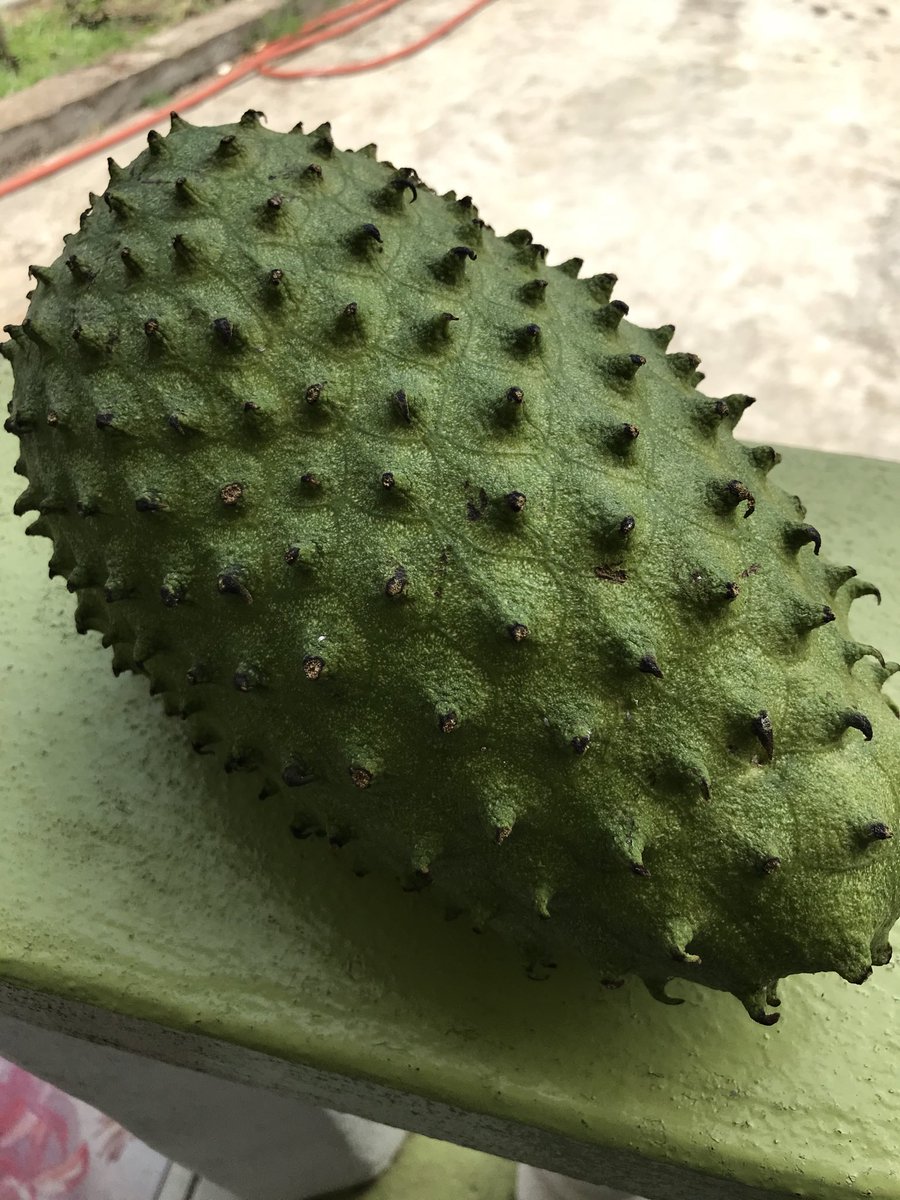 Another day to go before this is ready and I am going to go right in🇬🇩