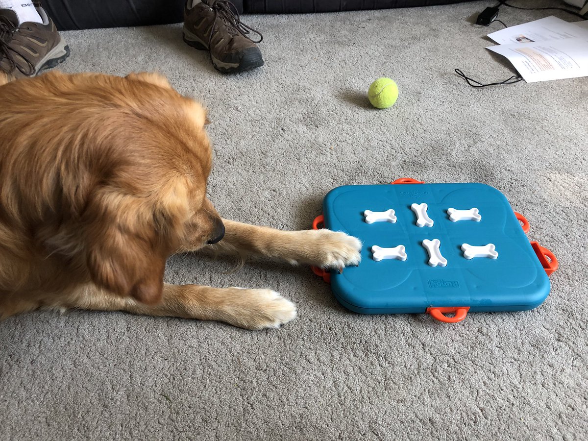 Mrs Muttock tweet media