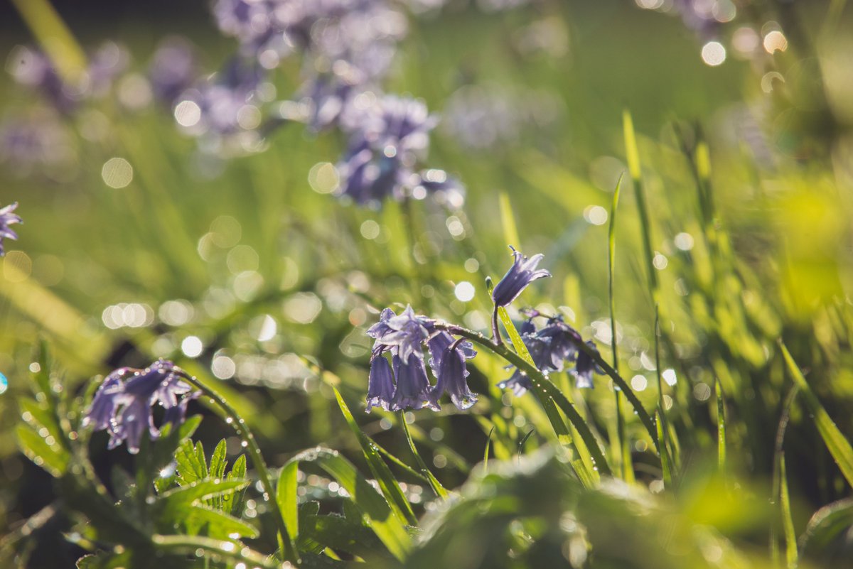 Roger Moore (@rogermoorephoto) on Twitter photo 