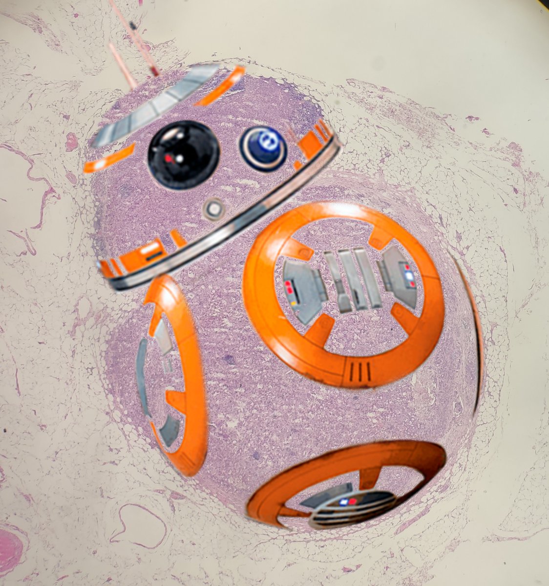 MeleanRebeca's tweet photo. May the 4th be with you. https://t.co/wGjdgiGUcZ