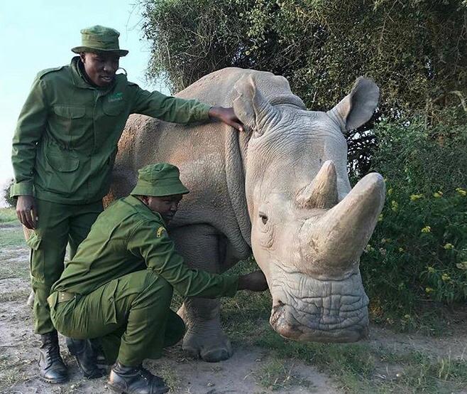 WTTC's tweet image. Did you know❓
Travel &amp;amp; Tourism is a vital income generator for local communities across the world. 

In many countries, it improves the quality of life for their people, providing livelihoods, education and better healthcare. #MondayMotivation ✅ 🙌

📷: @OlPejeta