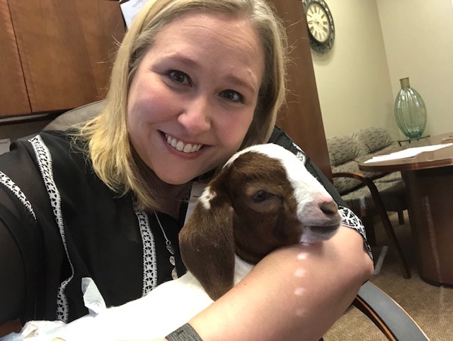 CommHealthTX's tweet photo. Nothing puts a smile on our faces like a goat showing up to the office for a visit. Unless, of course, it's a goat in a diaper.  #hospice #stressmanagement #hapcfacesofcaring https://t.co/n74denMxF8