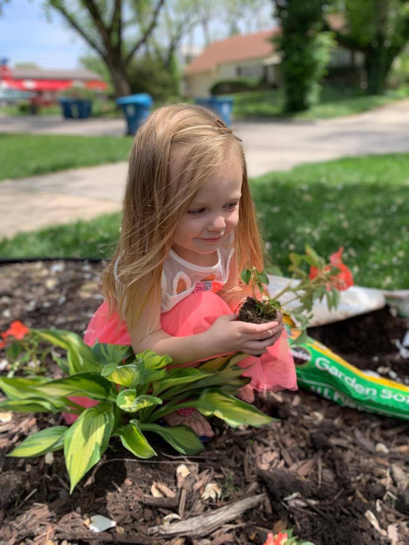 drschlote's tweet photo. Frisbee Form, Flowers, and a Gentleman https://t.co/wvLDumxJUe https://t.co/CrGeqA0YZi
