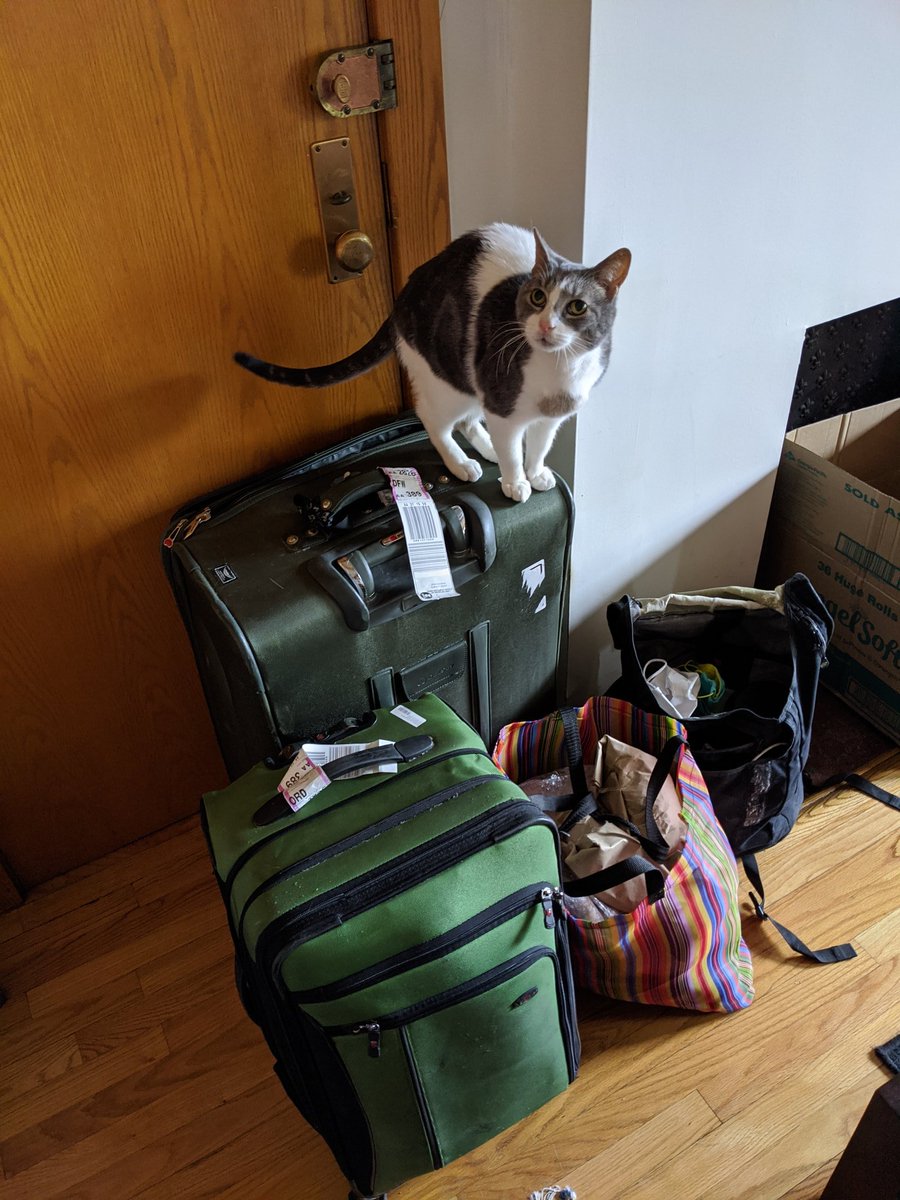 Chicago shelter at home day 1: I'm back! Time to catch up with everyone on ennui and sourdough bread.Got some goals for this month, but I'm gonna take it day by day. Today's goal is to unpack and get through all the mail and packages from while I was gone.