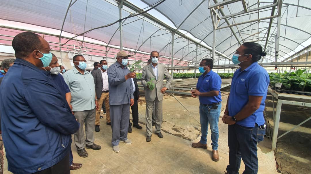addisstandard's tweet photo. #Eritrean Pres. Isaias Afwerki visited today the #Israeli owned #JoyTech Farm in #Bishoftu, during his ongoing visit to #Ethiopia. The farm specializes in the production of herbs, seeds &amp; seedlings, using advanced &amp; innovative Israeli technologies. (See https://t.co/tiAnsclkPU). https://t.co/krqU1T8eer
