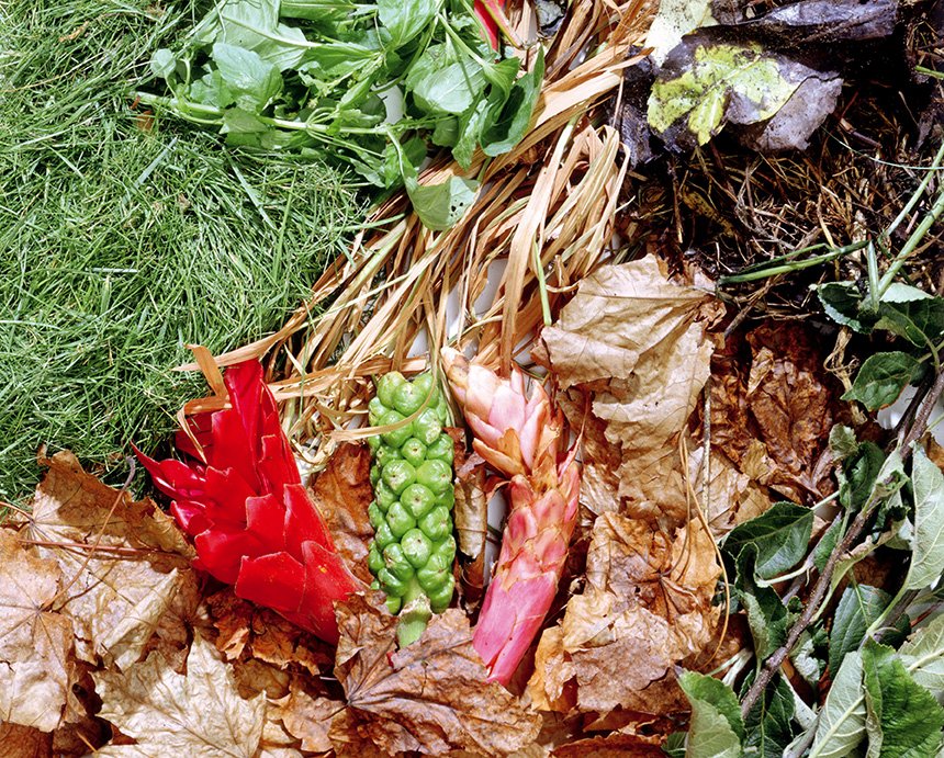 recycle_now's tweet image. It’s #InternationalCompostAwarenessWeek so we thought we’d share some tips on how to start #composting at home bit.ly/2z6JoC4