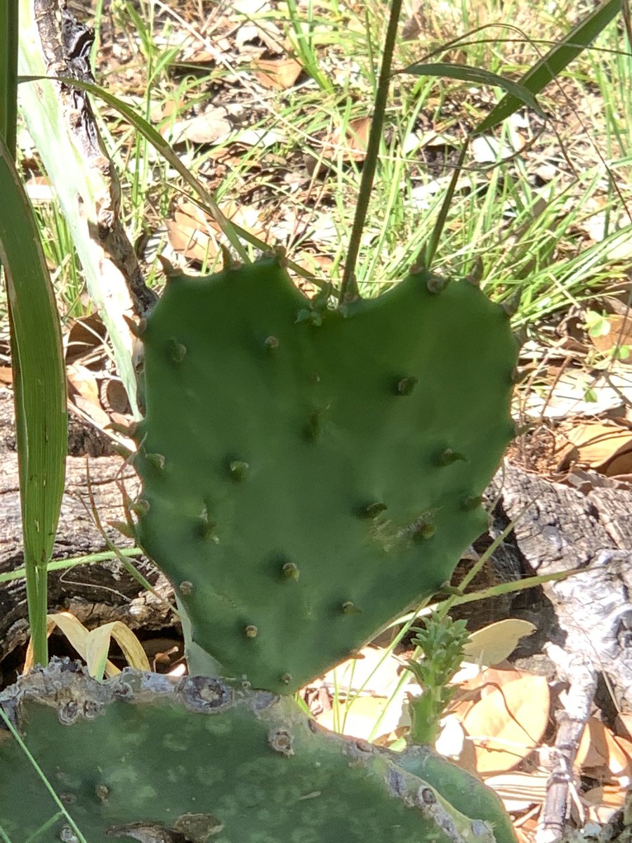 ReaganARTDepartment tweet media