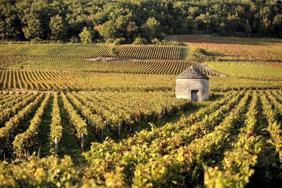 New Burgundy story: 
If you have ever journeyed along the “route des grands crus” in Burgundy's Côte d’Or, you may have noticed these particular stone houses instagram.com/p/B_xPGiIpM8I/…