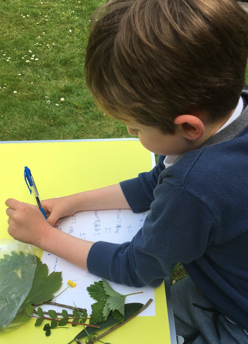 philandsu's tweet photo. @BGrovePrimary #BGP2 Ryan completing his Maths Nature Hunt in the garden. https://t.co/nF1pK6L2Xm