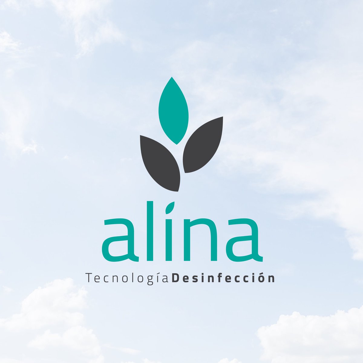 MariaFriera's tweet photo. Nuevo trabajo de #branding para #Alina 🌱 

Alina es una empresa de tecnología en desinfección que tendrá listo su sitio web muy pronto. 

Estoy trabajando en todo el proceso de creación de marca y me gustaría compartir con vosotros el #logo que he creado para ella 🎨 https://t.co/CtffoV3mz2