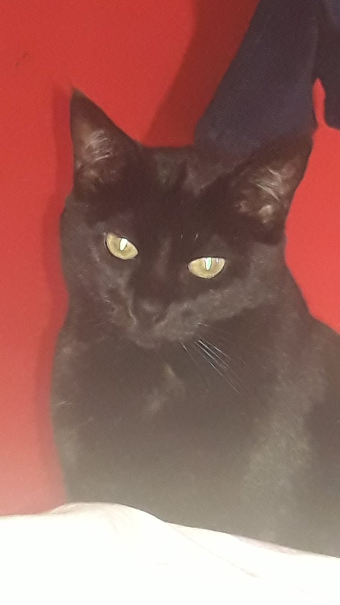 Sombras do passado, amores antigos, dores da alma e coisas mal resolvidas. Bem mal resolvidas mesmo! Sem chances de explicação.