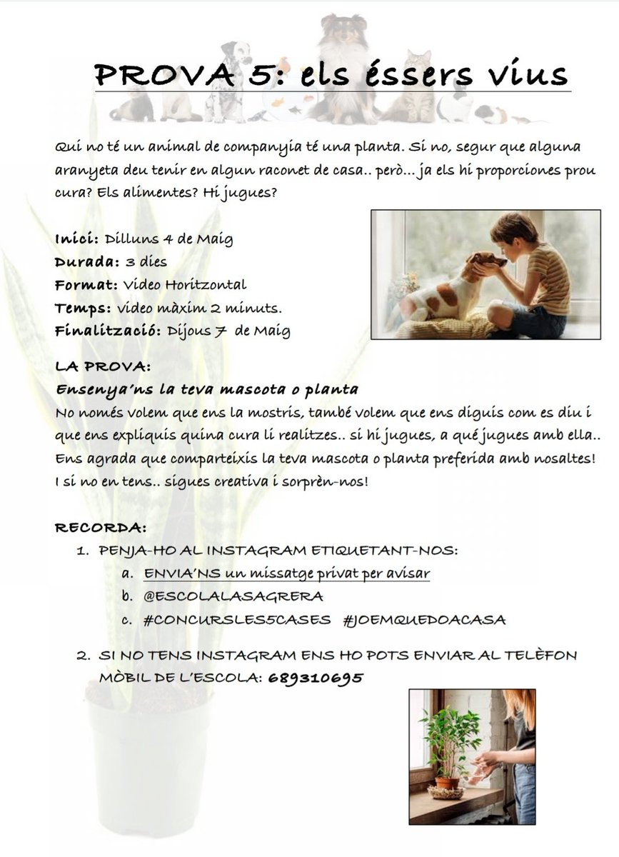 EscolaLaSagrera's tweet photo. Les ganes de veure els nostres alumnes en la seva millor versió.
Les ganes de veure les #5cases millorar els seus registres dia a dia.
Les ganes de conviure (virtualment) amb vosaltres ens fan llençar la #Prova5 avui mateix!
Les mascotes o plantes..
#joemquedoacasa
#Prova5 https://t.co/2OHUC02QY4