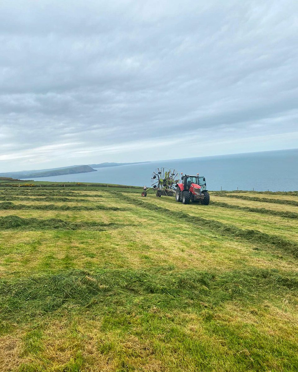 DaioniOrganic's tweet photo. Silage was a-go on the farm last week 🌱🚜 it’s hard to beat the smell of freshly cut grass and salty sea air! #organic #organicfarming #farming #silage2020 #tractor https://t.co/1jUOm2pPJR