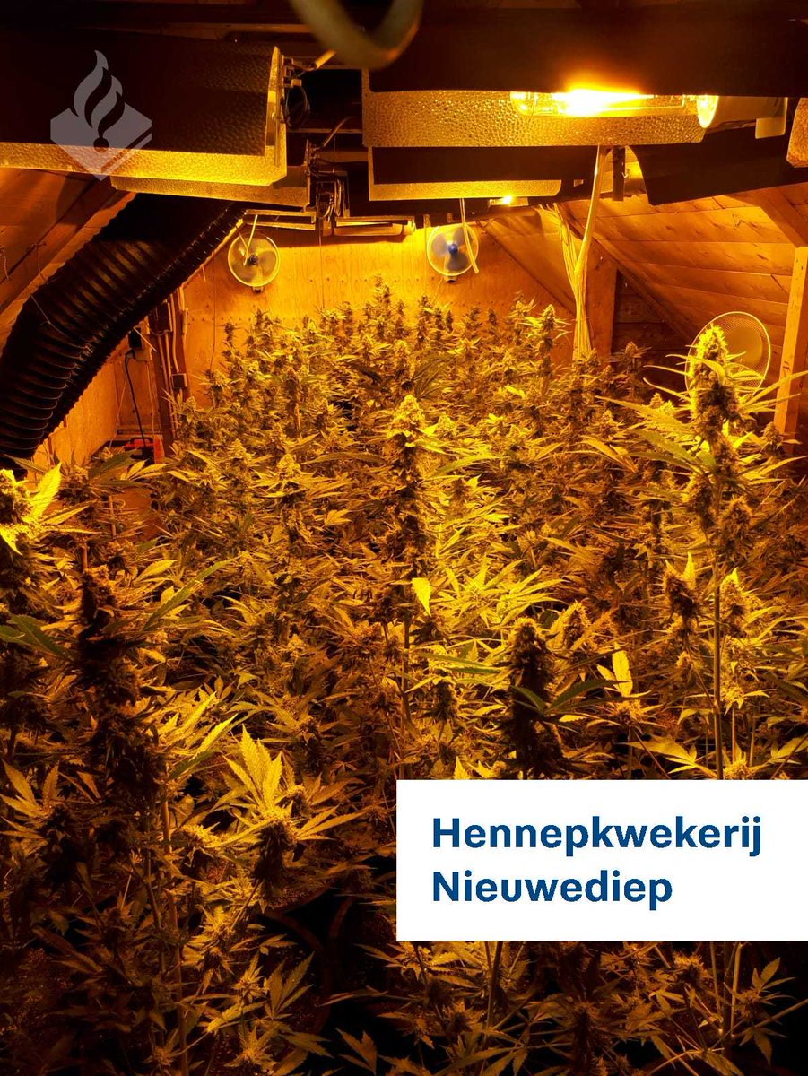 Melding diefstal Nieuwediep