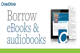 blakelocklib's tweet photo. You might not be able to sit down and visit face-to-face, but your social circle can still read together. Pick out a new ebook and set a date to discuss the details. Visit the HDSB collection of eBooks and eAudiobooks.#HDSBLibraries #HDSBstillconnected https://t.co/uyJozznYOd https://t.co/vOTu9wkPDC