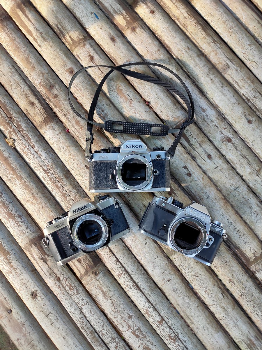 Argaxbrand's tweet photo. 20 rebu gout ambil semua yah pak,
Rugi rugi deh guah.
#kameraanalog #nikonfm2 #nikonfm10 #35mmfilm https://t.co/ncEuBbhQ71