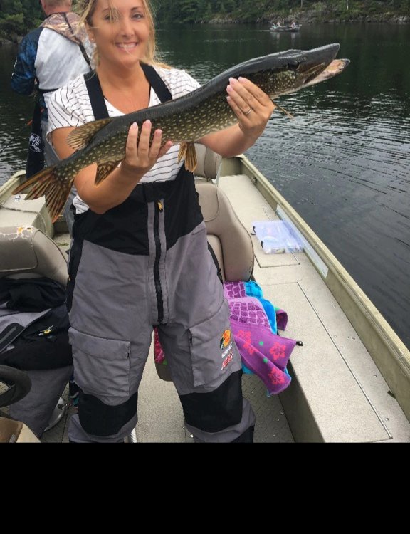 Tweets2Tina's tweet photo. Looking forward to the day when we can get back to #boatingon and #fishing in beautiful #georgianbay #parrysound. Captured these beautiful fall colours and had to share with my funny lookin fishin pic 😝. https://t.co/ijfUALLGCb