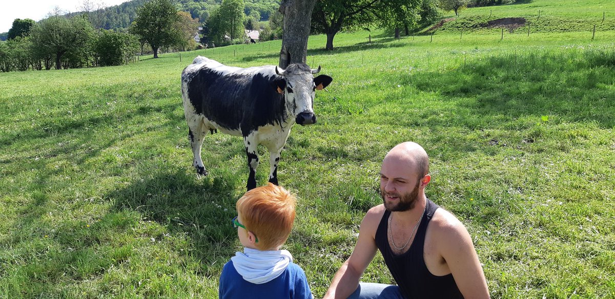68pg's tweet photo. Un village #breton commande 1000 fromages pour soutenir un éleveur #alsacien de  Muhlbach-sur-Munster https://t.co/oel8ZXv1P2