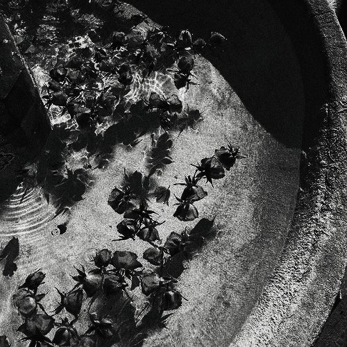 *  𝖉𝖔𝖓'𝖙 𝖌𝖎𝖛𝖊 𝖚𝖕 ¡ 🦖

          𝕯𝖎𝖓𝖔 ( ไดโน )  𝖒𝖺𝗋𝗄 𝖑𝖾𝖾 ¡  99' 𝖇𝖔𝖞  แลกฟอล — ตามทัก 𝖏𝖚𝖘𝖙 𝖗𝖙. 

                     ยพท. ลฟตท