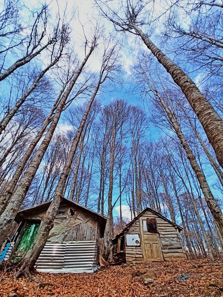 palestino_1986's tweet photo. Планински викендици на Подгоречки Бачила

#Podgorci #Struga #Bacilo #MountainCabin #Macedonia #Nature https://t.co/fKIKuZFppP