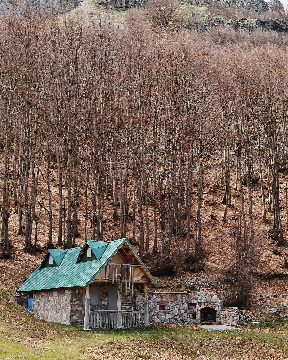 palestino_1986's tweet photo. Планински викендици на Подгоречки Бачила

#Podgorci #Struga #Bacilo #MountainCabin #Macedonia #Nature https://t.co/fKIKuZFppP