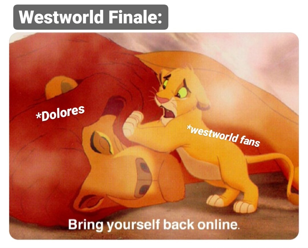 ManavGogale1's tweet photo. #WestworldFinale summed up. https://t.co/mTfzd1YNBQ