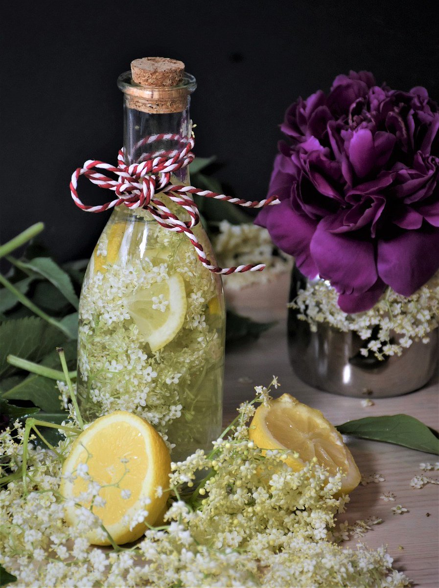 forager_s's tweet photo. Elderflower Cordial Recipe https://t.co/dP2vb9wJ8S https://t.co/GaIoHRFzqO