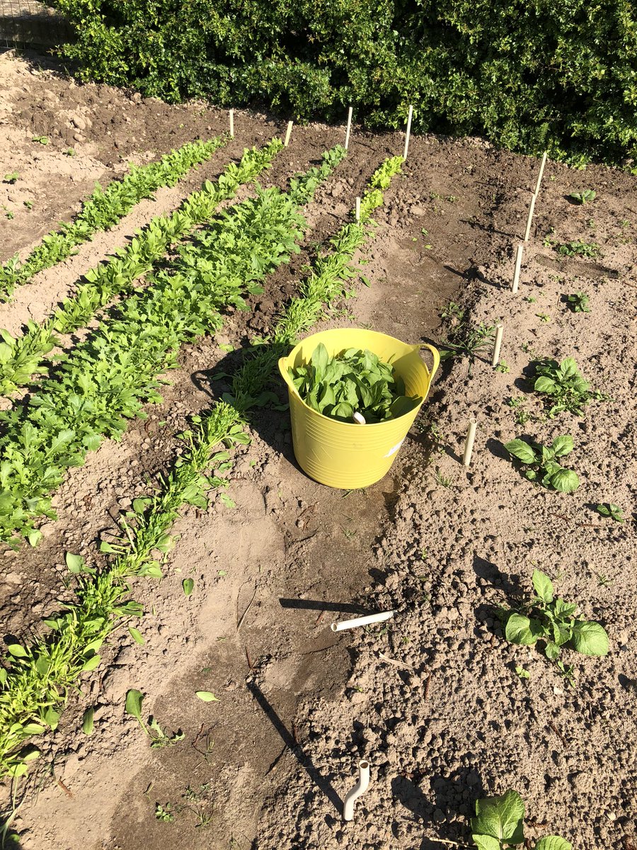 Bennie Vonk tweet media