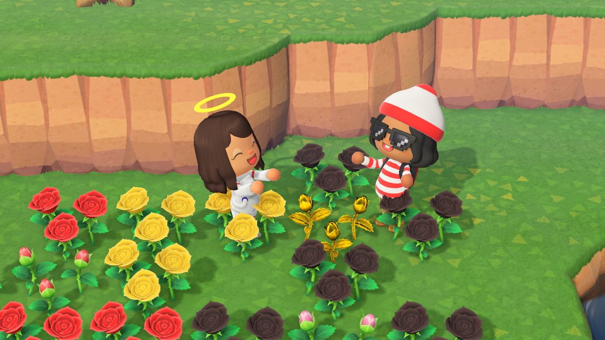 valdamerca's tweet photo. #AnimalCrossing #ACNH #NintendoSwitch https://t.co/eEpPnTS9wY