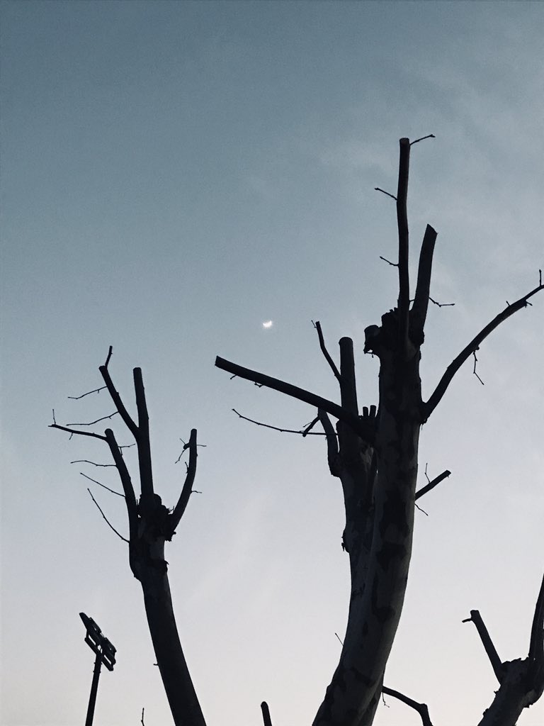 15618704wer's tweet photo. 夏天和你我都想要。 https://t.co/uuKOU33QzV