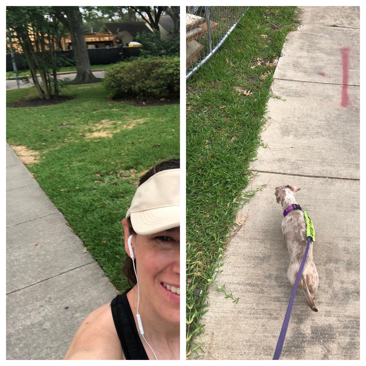 dj_principal's tweet photo. Kicking off BHE Virtual Spirit Week! #BHEvirtualspiritweek #bhelearns #DogMom https://t.co/laZrEHfuDd