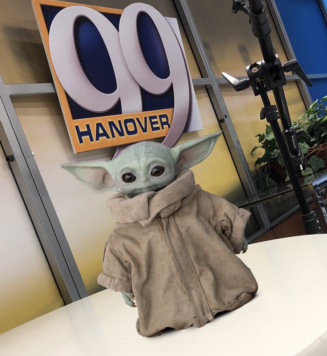 SPECIAL GUEST IN THE TV99 STUDIOS! May the Fourth Be With You.  😜