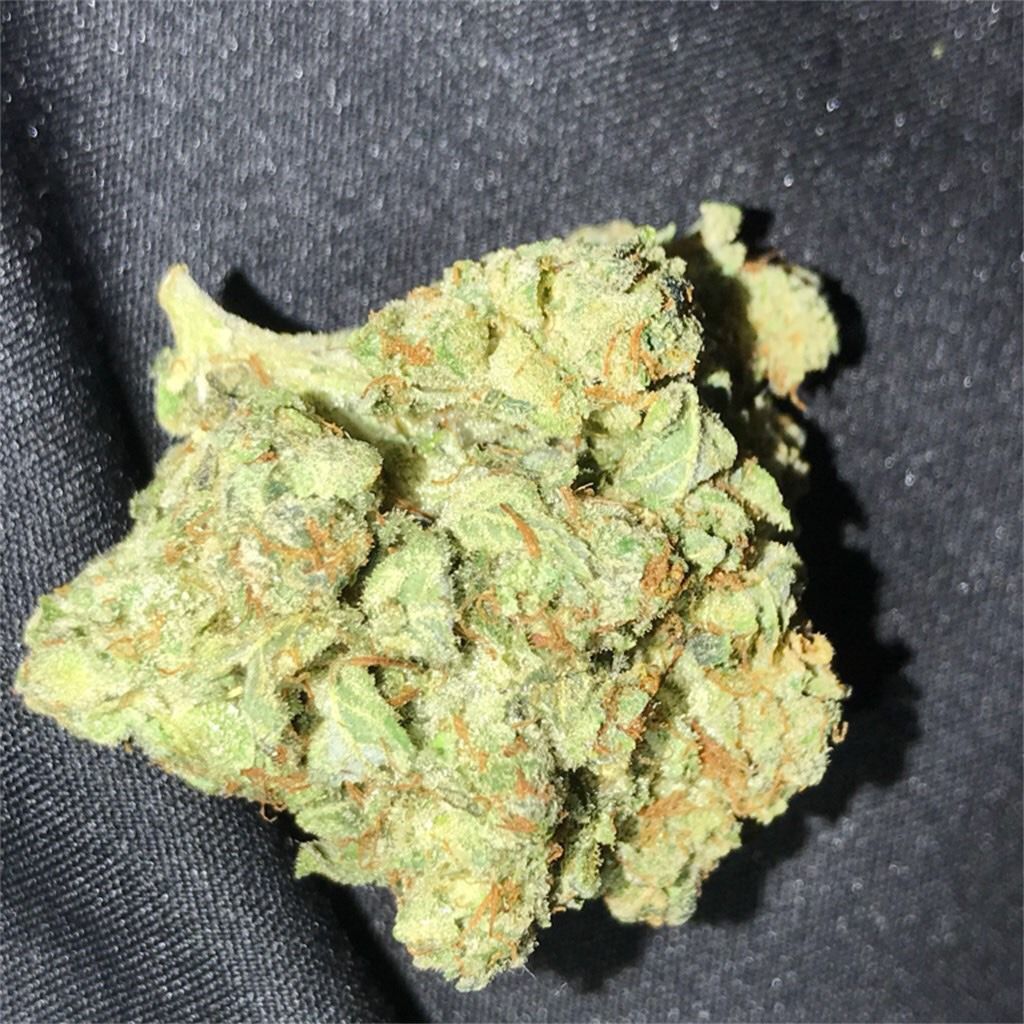 JohnKev420's tweet photo. Ib via :
Wickr : johnkev420 
Snapchat:plugweed42

#weedparis  #socadrome #drometourisme #dromedar #dromenvanger #minidrome #igersdrome #dromedarkaffebar #prilaga #dromedario #drômeprovençale #endrometriosis #dromer #girlssmooking #stonergirls #smookers #malakoff https://t.co/ZJgezbM27s