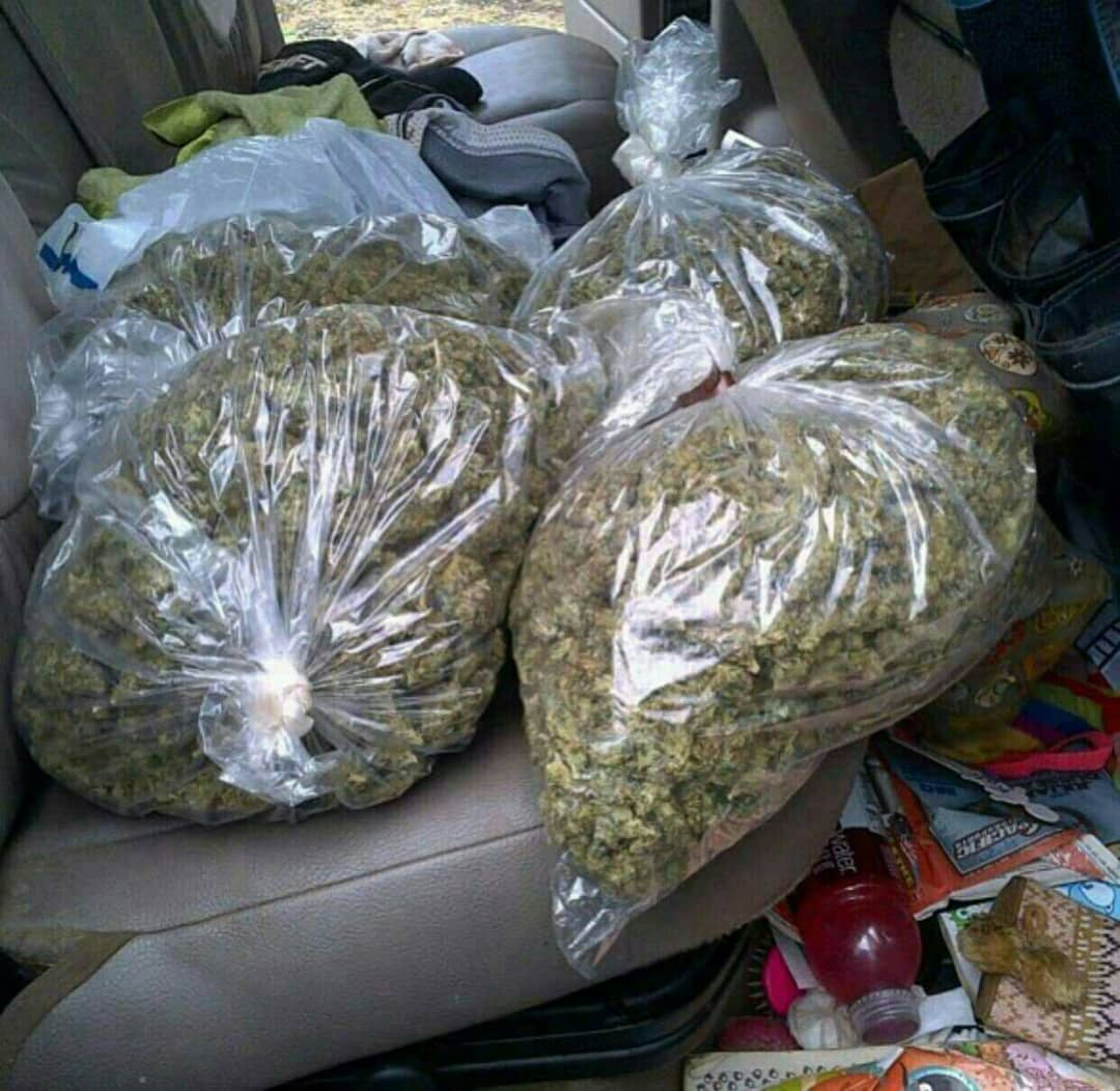 JohnKev420's tweet photo. Ib via :
Wickr : johnkev420 
Snapchat:plugweed42

#weedparis  #socadrome #drometourisme #dromedar #dromenvanger #minidrome #igersdrome #dromedarkaffebar #prilaga #dromedario #drômeprovençale #endrometriosis #dromer #girlssmooking #stonergirls #smookers #malakoff https://t.co/ZJgezbM27s