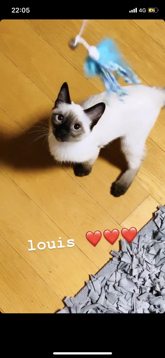 Peanut (#SO10)🐰 #TEN_STUNNER tweet media
