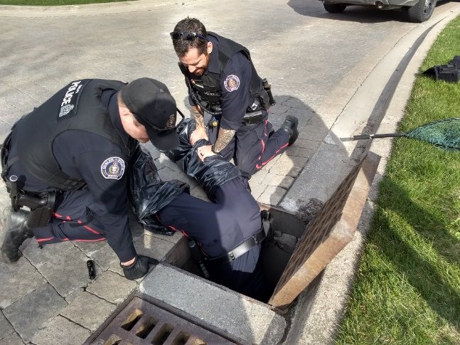 Guelph Police Service tweet media