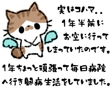 ずっと…皆さんに言おうか迷っていた事があって??

でも悲しくなる事なので、今まで言えなくて?

でもでも、これからも私は描き続けるので知って欲しいと思いました‼️ 