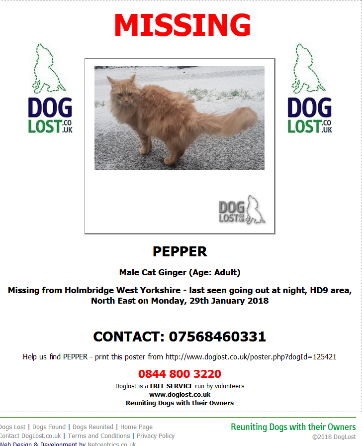 blacklab115's tweet photo. #FindAngel #FindBella #Findbenji #FindPepper #Missing #Cats https://t.co/6uL8k6F3pP