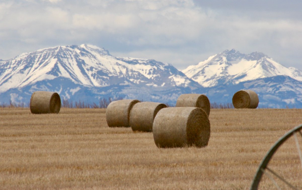 Montana Association of Land Trusts on Twitter "Hay bales along the