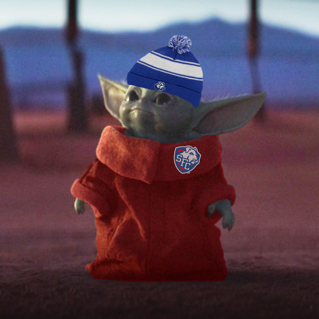 SFBKTerriers's tweet photo. #MayThe4thBeWithYou https://t.co/HVrtKohRnH