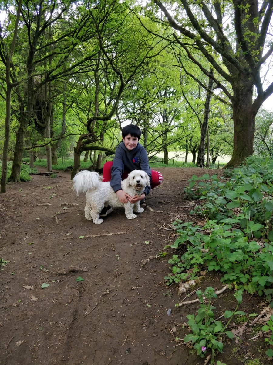 King Edward's Witley tweet media