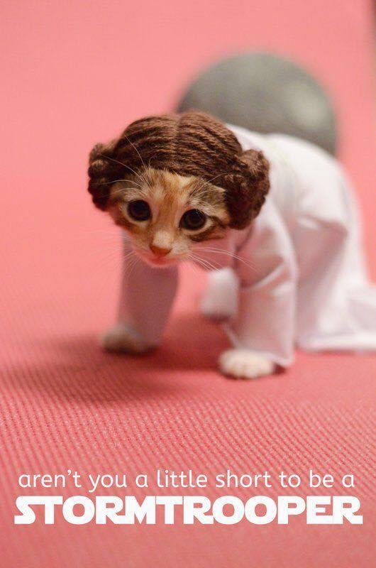⭐️ May the 4th Be with You! ⭐️