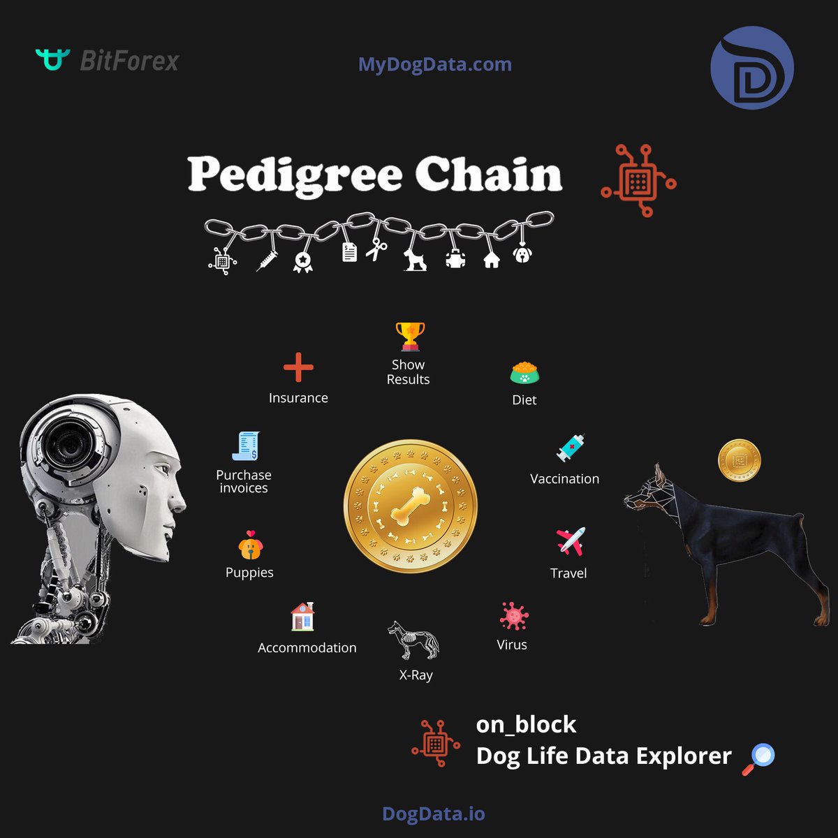 nft_shibnft's tweet photo. #MyDogData  #blockchain 

👉 🐾 #on_block Explorer 🔎 👍
      👇
⛓ 
🐾 👉 #Microchip
⛓
💉 👉 #Vaccinations 
⛓
🥘 👉 #Diet
⛓
🧾 👉 #Purchase Invoices
⛓
🏆 👉 #Dog Show Results 
⛓
🦠 👉 #Virus Immunisations
⛓
🏠 👉 #Accomodation
⛓
🐶 👉 #Offspring 

https://t.co/DUSXecUQv5 https://t.co/ugHue2MPME