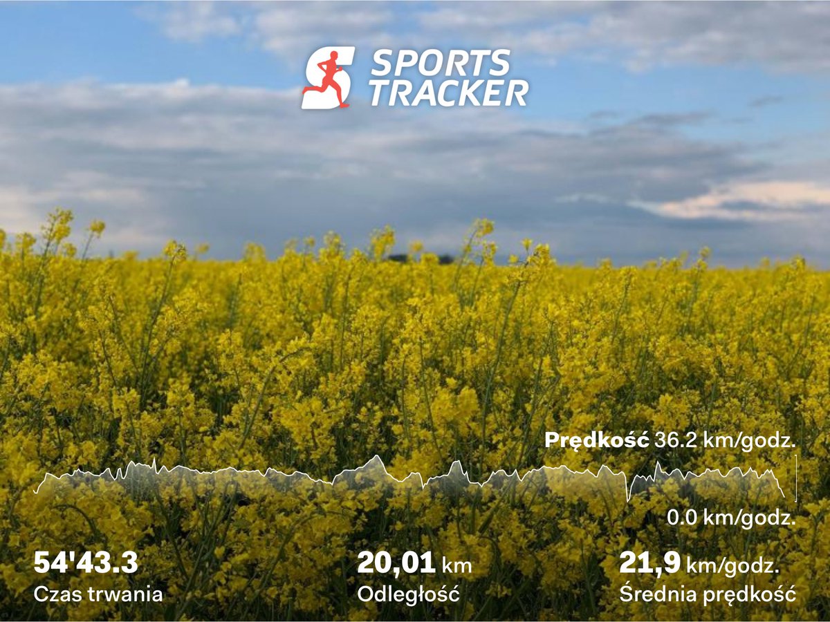 Zyzio Gnacki tweet media