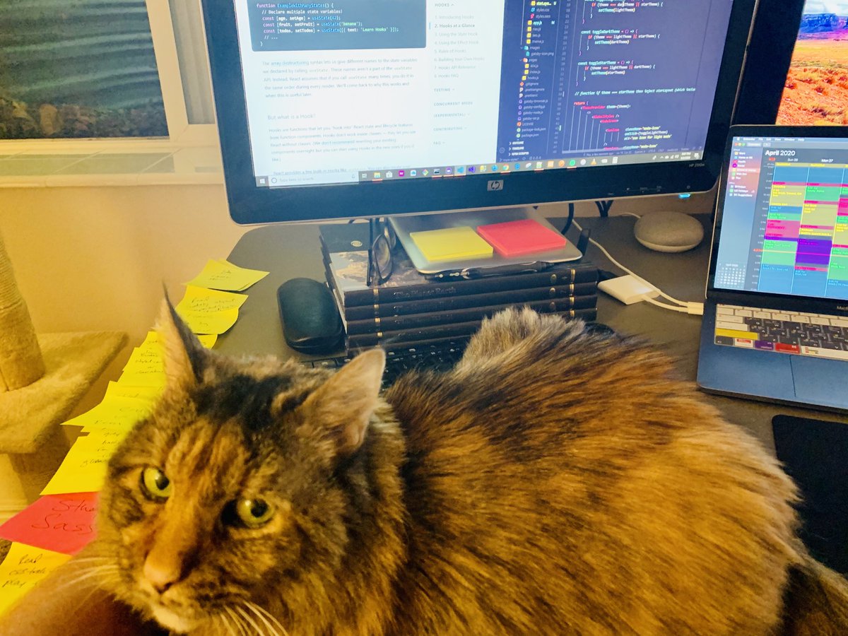 WCNewell's tweet image. Coding with cats #codingwithcats #devlife #webdevelopment