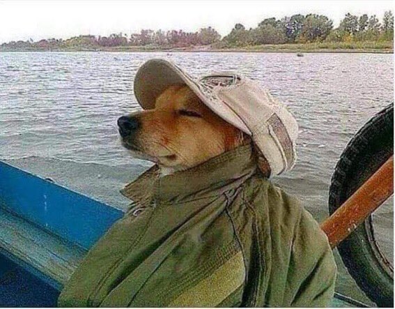 F_Byamukama's tweet photo. When dead year thoughts start creeping to reality😏 https://t.co/Tcf4GjkQfS